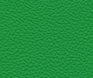 MB7008 - Pop Green